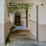 Darling\'S House